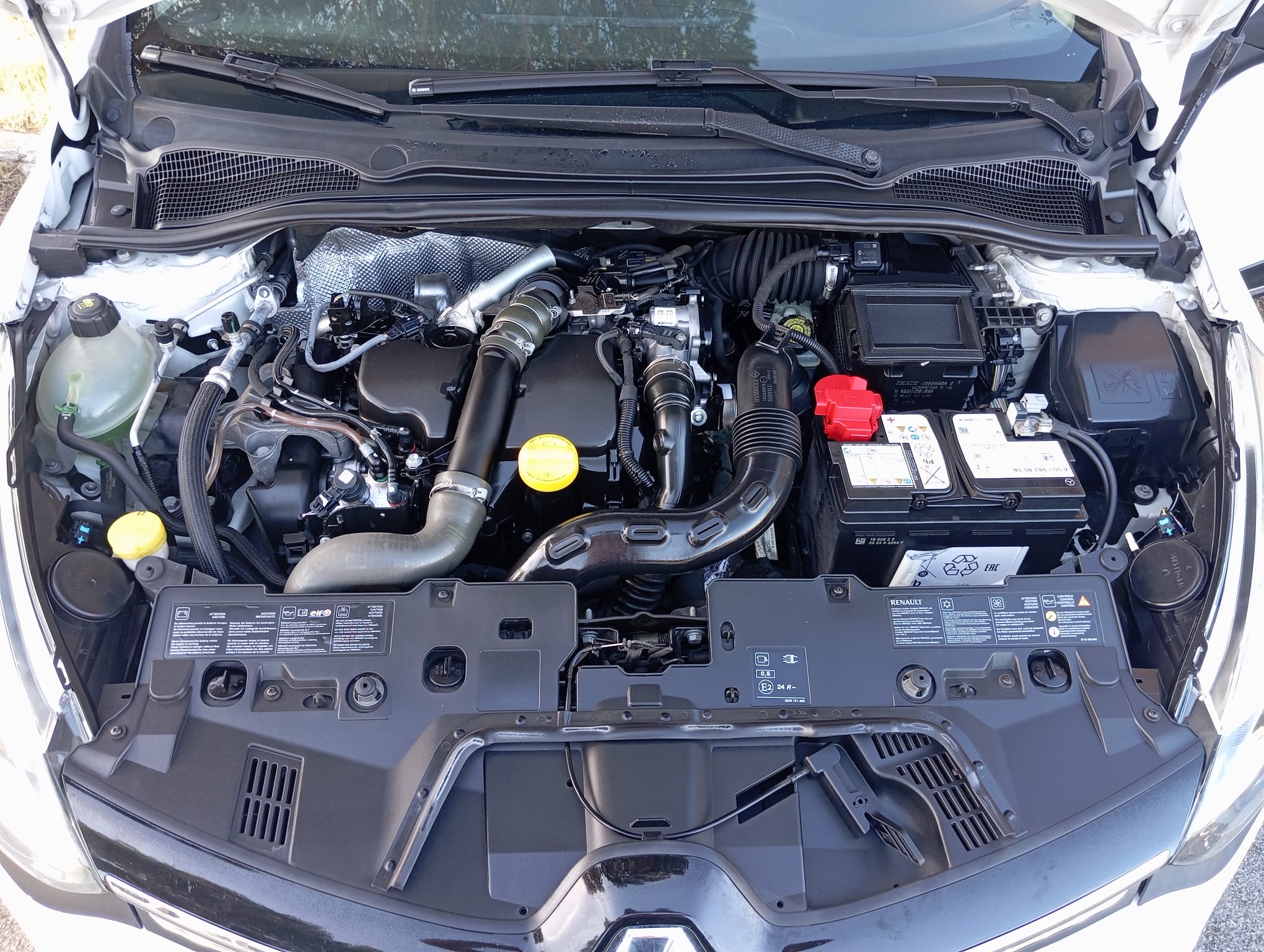 RENAULT CLIO 1.5 DCI - immagine 17