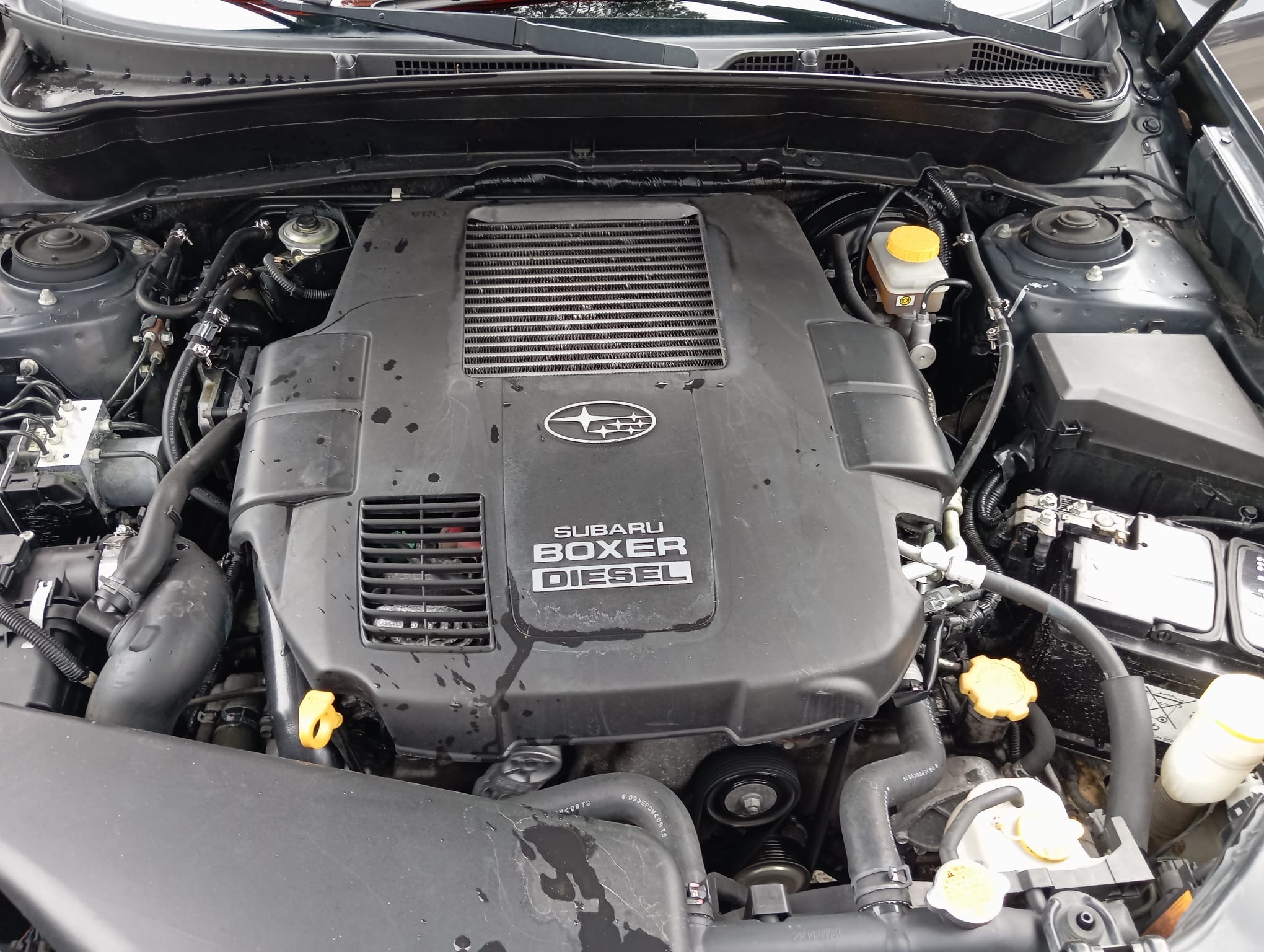 SUBARU FORRESTER 2.0 D XS - immagine 17